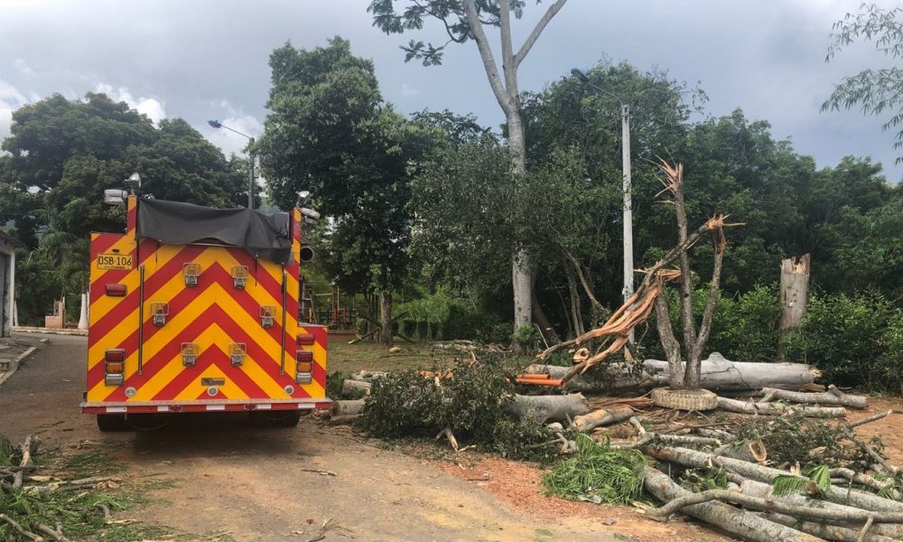 Una casa resultó afectada con la caída de un árbol, tras la tormenta del pasado jueves en Bucaramanga