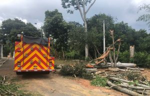 Una casa resultó afectada con la caída de un árbol, tras la tormenta del pasado jueves en Bucaramanga