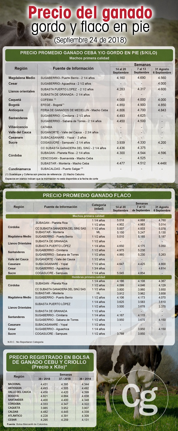 Precios del ganado gordo y flaco en principales ciudades