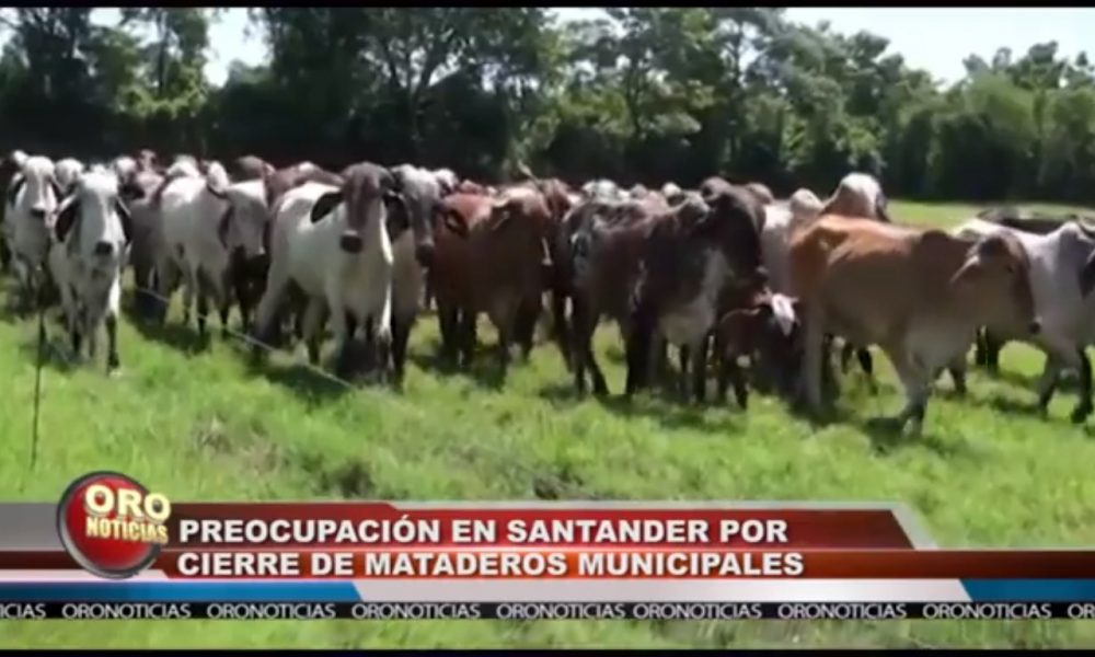 Existe incertidumbre en el sector agroindustrial por el cierre de los mataderos municipales en la región.