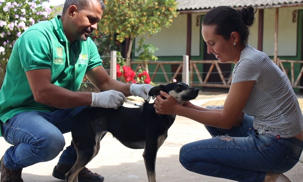 Campaña de vacunación animal en Motoso