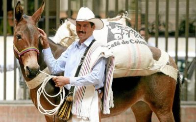 EL ICONO DEL CAFÉ  VISITA FLORIDABLANCA