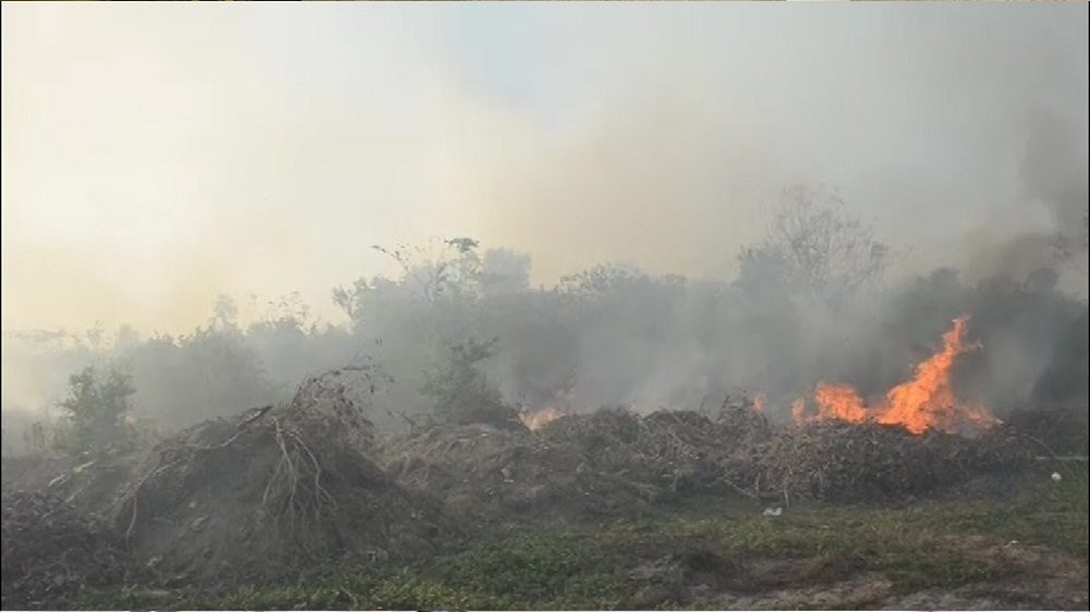 Autoridades en alerta máxima por incendios forestales