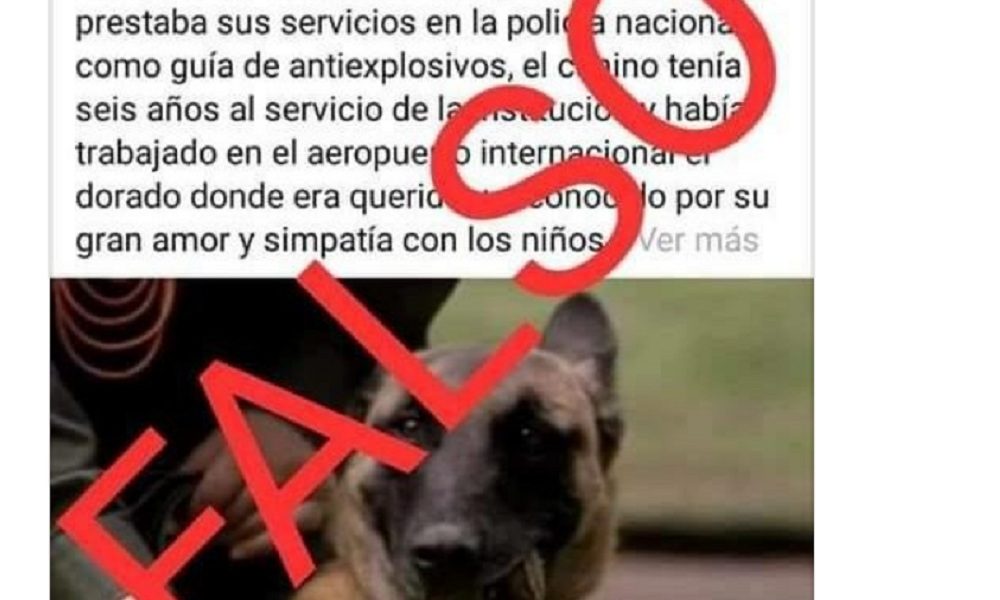 Los mensajes incluían una fotografía del canino y un texto en el que se contaba que uno no tenía 6 años al servicio de la Policía Nacional como guía antiexplosivo