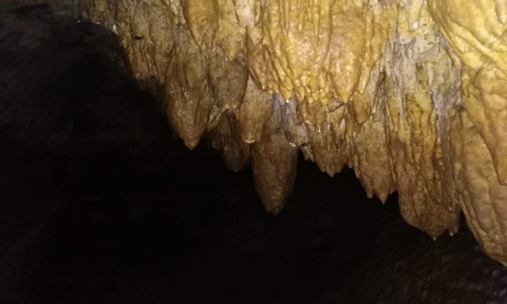 Y es que un ruido, que se generó en la cueva, prendió las alarmas de las autoridades. Este sería el único suceso registrado después del barrido