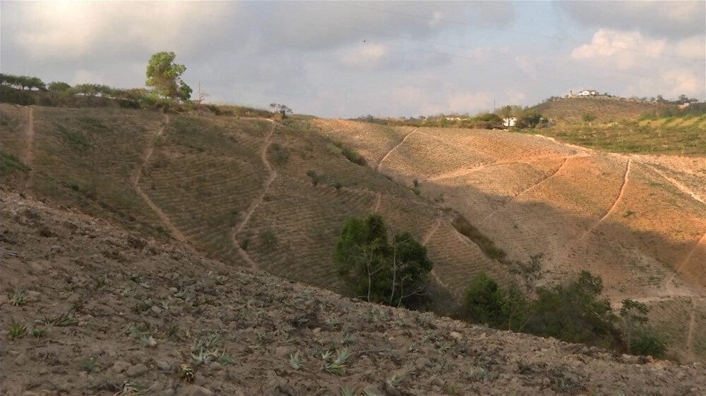 Organismos de socorro alertas por fuerte sequía en Santander