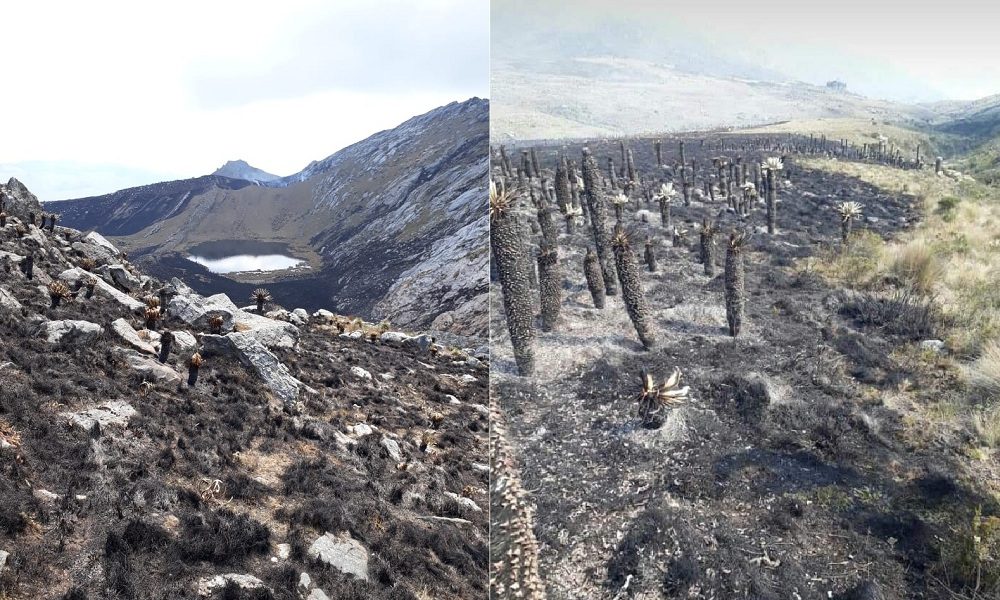 Autoridades departamentales informaron que se logró controlar el incendio del Páramo del Almorzadero que afectó más de 50 hectáreas de los municipios de Cerrito y Concepción.