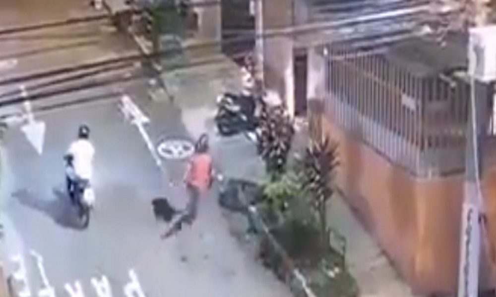 Con este vídeo la Policía intenta identificar a los ladrones y recuperar el vehículo.