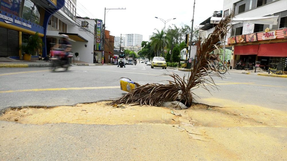 Una rama de palma y un par de cartones intentan simular una señal de peligro, que para los conductores ha sido completamente insuficiente.