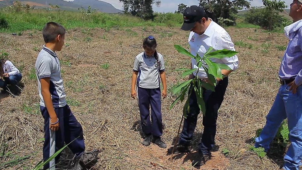 Con la siembra de 300 árboles nativos de Girón y Lebrija, la Gobernación de Santander y la CDMB se proponen ayudar a recuperar y preservar a ‘El Pantano’