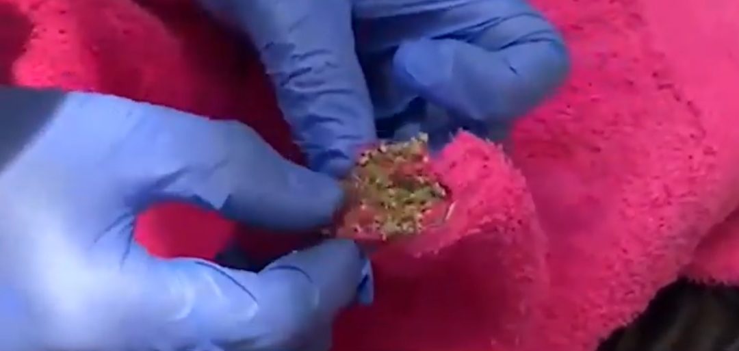 Incautan toalla con marihuana en estación de Floridablanca