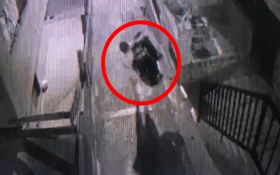 Video | Preocupantes hurtos en el área metropolitana