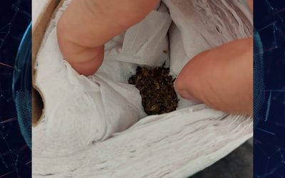 Escondía marihuana en papel higiénico para entregarla a presos