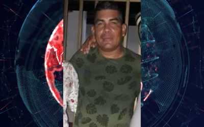 Ataque de abejas deja un muerto y cinco personas lesionadas en Santander