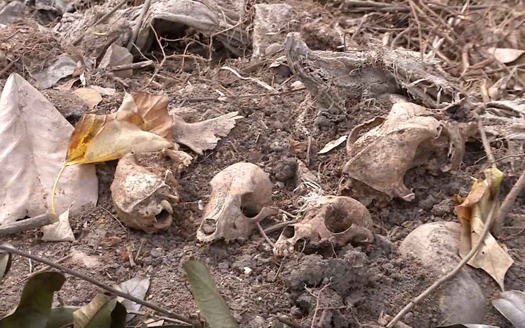 Hallan restos óseos en terrenos invadidos en Bucaramanga