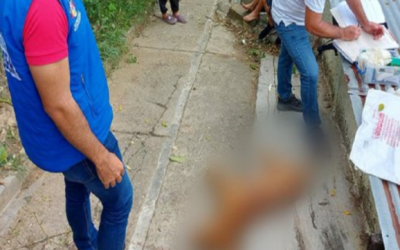 Indignación por brutal ataque a un perro en Bucaramanga