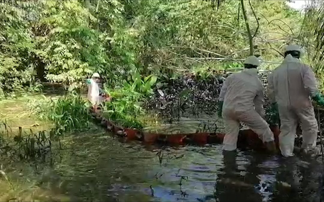 Investigan derrame de crudo en Barrancabermeja