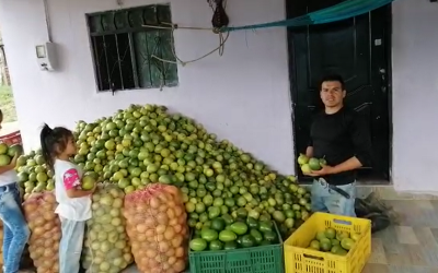 Gran ‘mandarinatón’, ‘naranjatón’ y ‘maracuyatón’ este domingo en Bucaramanga