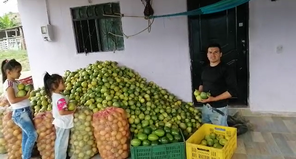 Gran ‘mandarinatón’, ‘naranjatón’ y ‘maracuyatón’ este domingo en Bucaramanga