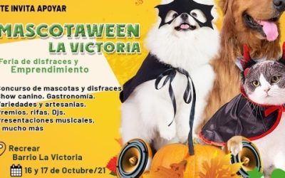 ‘Mascotaween’ la feria de disfraces para disfrutar con su mascota en Bucaramanga