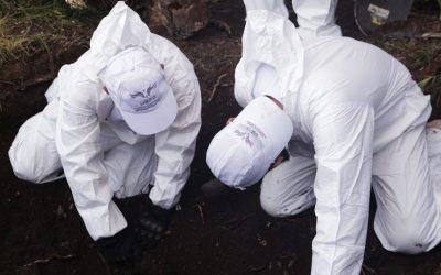 Video | Después de 30 años hallan restos de personas desaparecidas