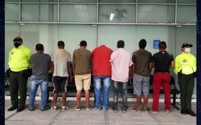 Recuperan millonario cargamento de alimento para aves