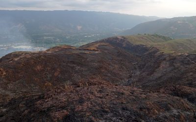 Ampliación | Pavoroso incendio forestal acabó con más de 100 hectáreas en Piedecuesta