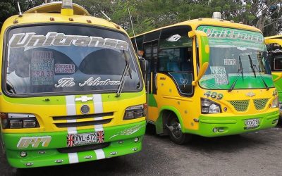 Por falta de pólizas no operan las rutas de Unitransa