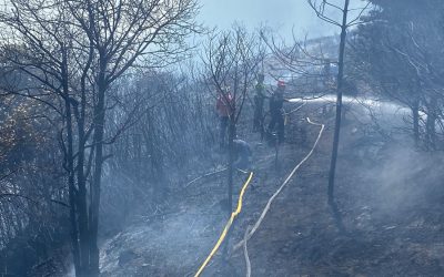 Video | La quema de un rastrojo provocó gigantesco incendio en Los Santos