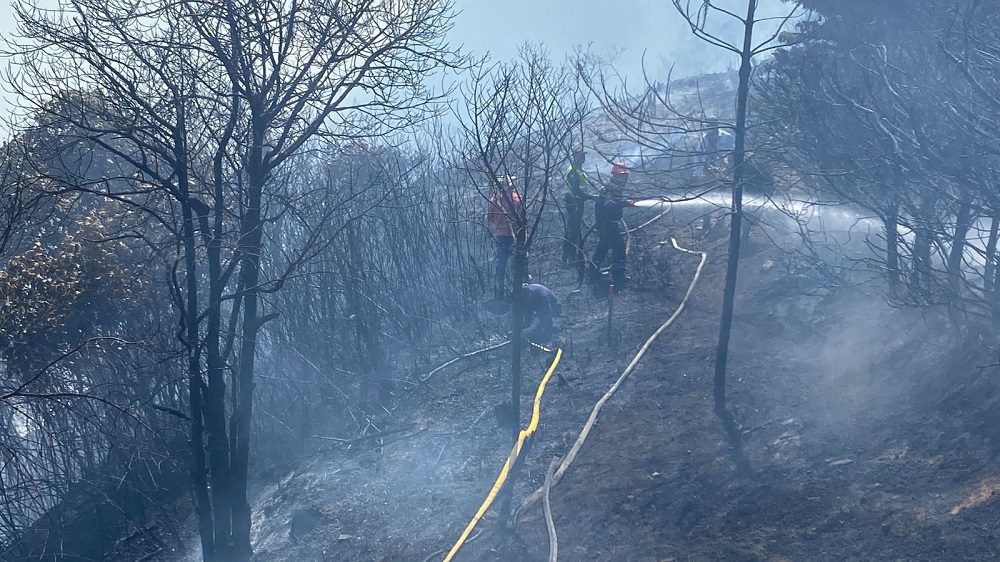 Video | La quema de un rastrojo provocó gigantesco incendio en Los Santos