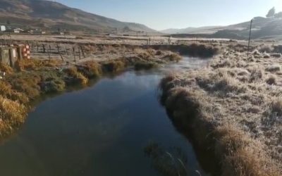 Entérese | Fuertes heladas afectan los cultivos en Tona