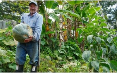 Nuevas familias rurales venderán sus productos en Mercadillos Campesinos