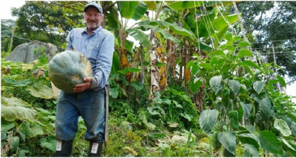 Nuevas familias rurales venderán sus productos en Mercadillos Campesinos