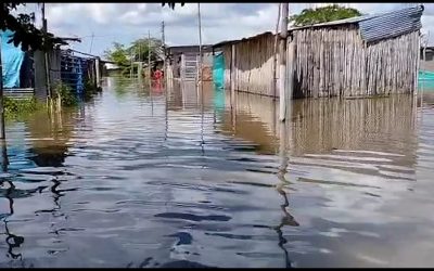 Pérdidas de ganado e inundaciones en las viviendas reportan en Puerto Wilches