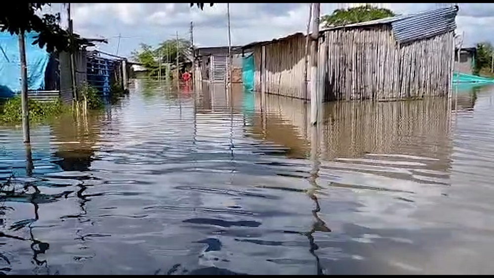 Pérdidas de ganado e inundaciones en las viviendas reportan en Puerto Wilches