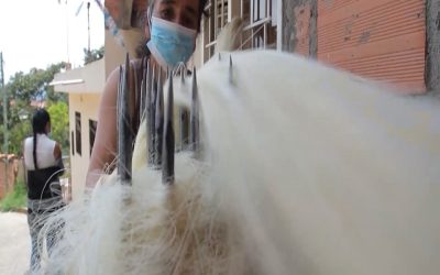 Fiqueros afectados por baja demanda en Santander