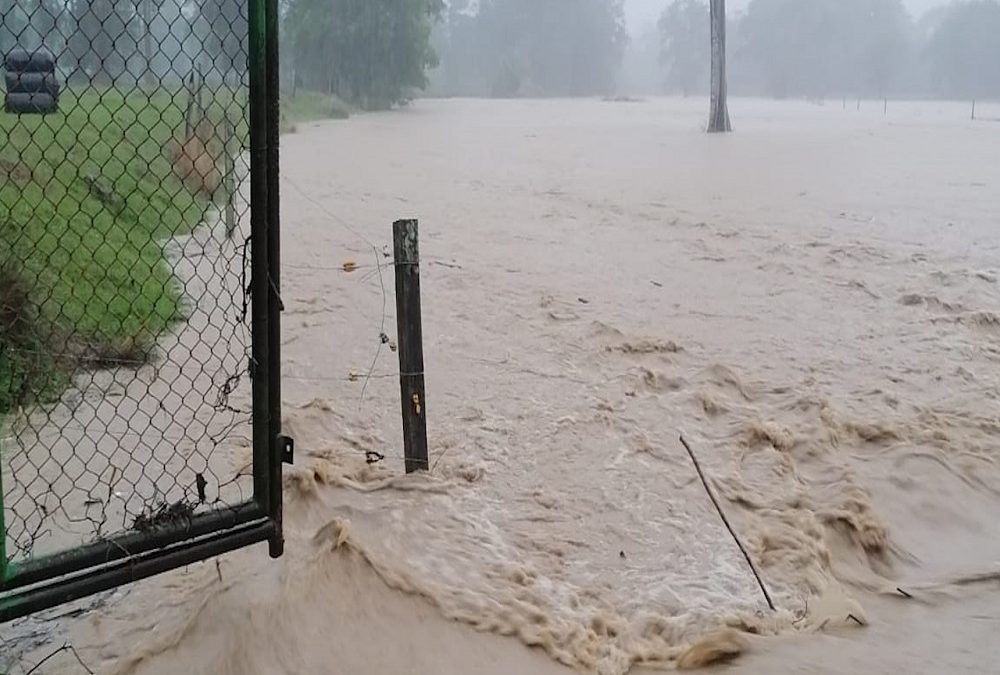 Vídeo | Inundaciones por fuertes lluvias en Sabana de Torres