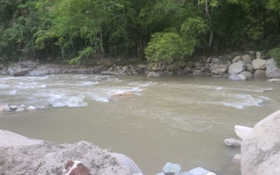 Video | Así fue el rescate de un cadáver del río Suratá