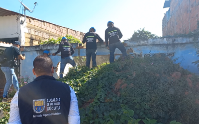 Acabaron con otra «olla» de expendio de drogas en Norte de Santander