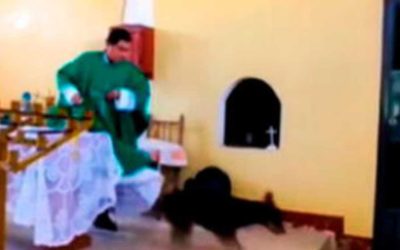 Video: sacerdote golpeó a un perro en plena misa