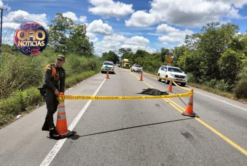 Hombre murió tras ser arrollado por carro fantasma en Sabana de Torres