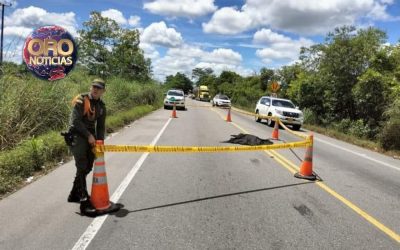 Hombre murió tras ser arrollado por carro fantasma en Sabana de Torres