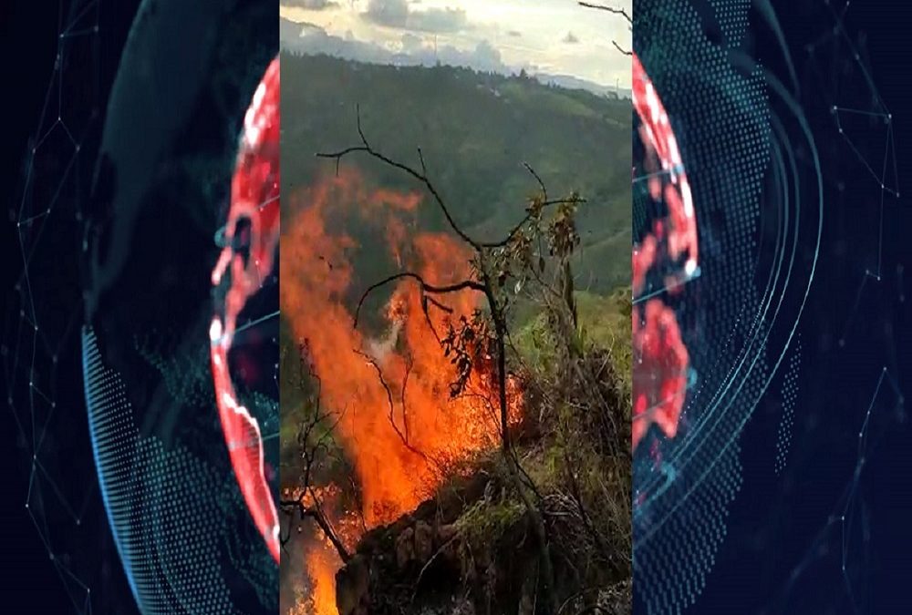 ¡Qué calor! Altas temperaturas ocasionan incendios forestales