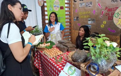 Empleo Fest cambió vidas: 4.000 vacantes para jóvenes