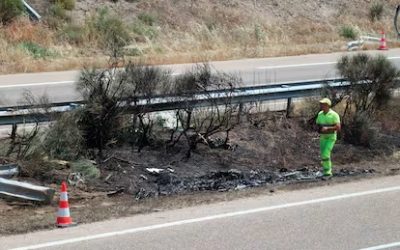 Exceso de velocidad, clave en accidente que causó la muerte de Diogo Jota y su hermano