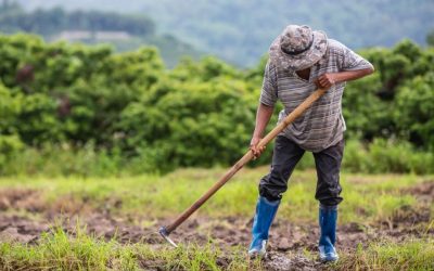 Agricultores ya pueden capacitarse gratis en manejo financiero
