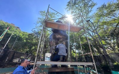 La ‘Gorda’ de San Pío entra en restauración por tercera vez