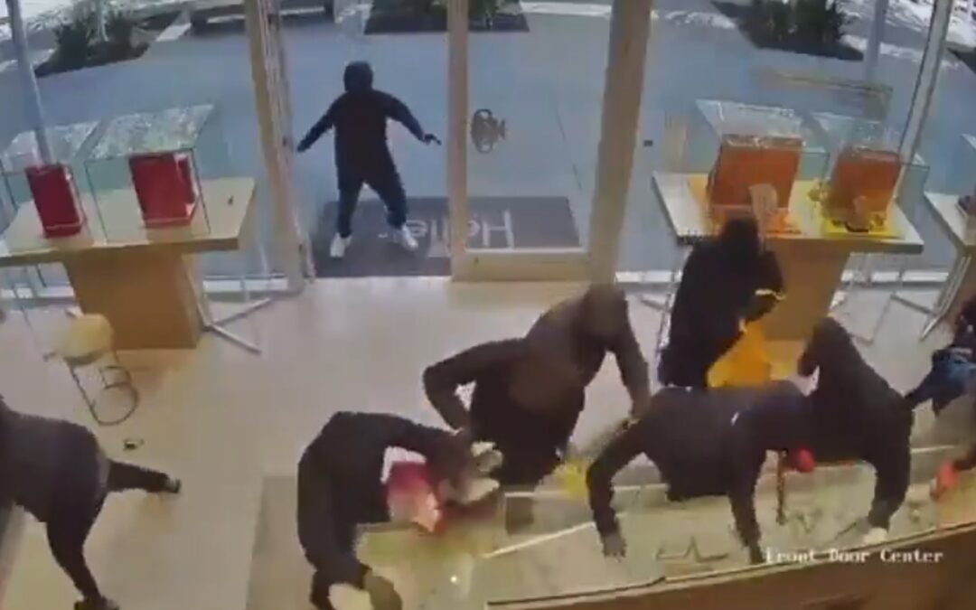 Buitres en acción: 25 delincuentes asaltaron joyería a plena luz del día