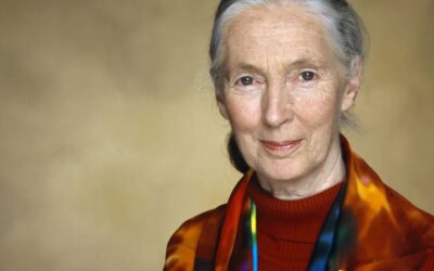 Adiós a Jane Goodall: la mujer que nos enseñó que los animales también son humanos