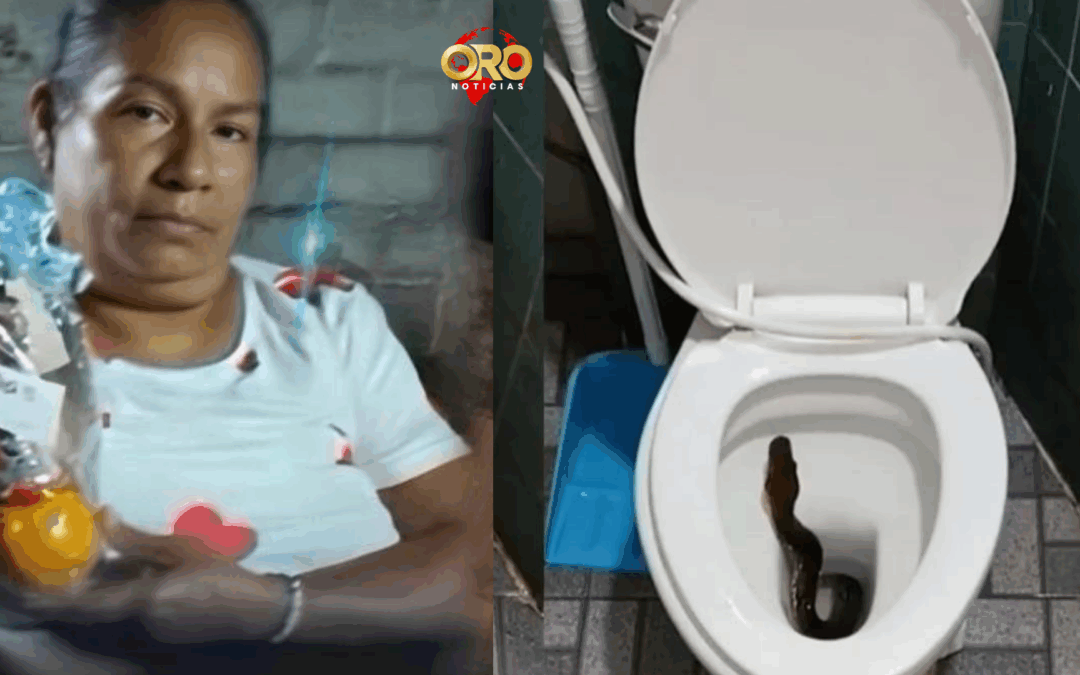 Mujer perdió la vida tras encontrar una culebra en el sanitario de su hogar